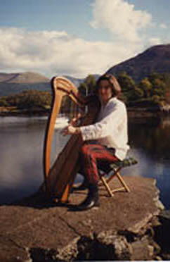 Clarsach instrument top